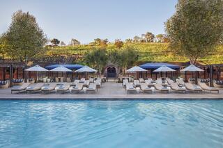 A serene pool surrounded by lounge chairs, umbrellas, and lush greenery, with a vineyard hillside in the background, evokes relaxation and luxury.