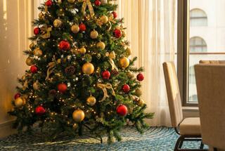A beautifully decorated Christmas tree with red and gold ornaments stands beside a bright window, casting a warm, festive glow.