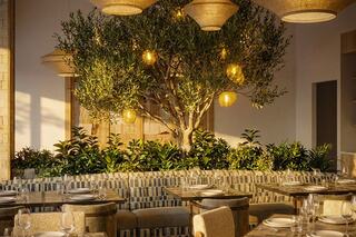 A cozy dining area features lush greenery and an olive tree, illuminated by warm pendant lights, creating an inviting atmosphere.