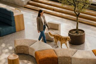 A woman walks her golden retriever through a modern space featuring stylish seating and greenery, enjoying a leisurely moment together.