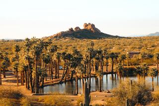 A serene desert landscape features palm trees, a tranquil pond, and a rocky hill in the background, bathed in warm sunlight.
