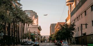 A bustling city street lined with palm trees, modern buildings, and parked cars, with an airplane flying overhead against a clear sky.