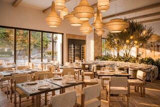 A modern restaurant featuring wooden decor, cozy seating, woven pendant lights, and a central tree, creating a warm and inviting atmosphere.
